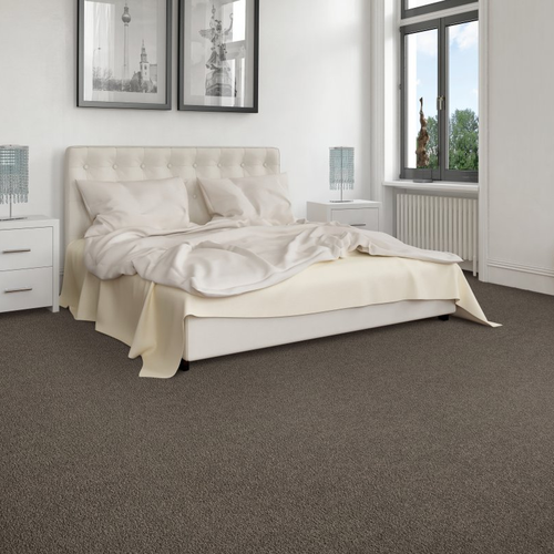 Shop at Home Carpets provides easy stain-resistant pet proof carpet in Bowling Green, KY-Exciting Selection I - dreamy