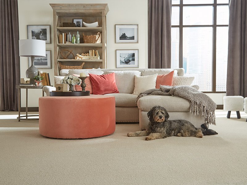 Carpet Textures: Plush, Saxony, cut-pile