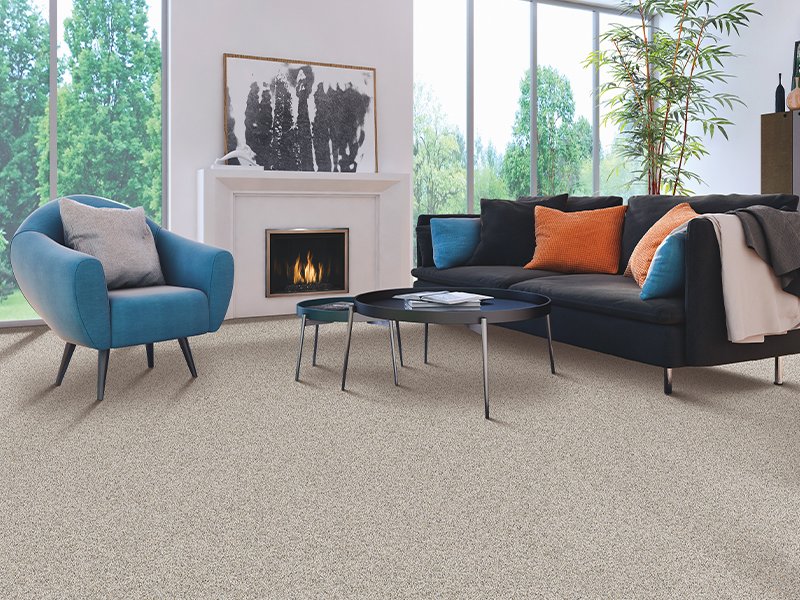 Carpet selection guide